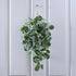 Eucalyptus & White Berries <br> Door Swag